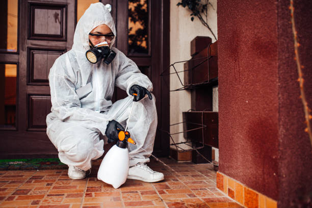 Attic and Crawl Space Rodent Treatment in Chester